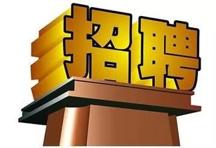 長春軟件開發(fā)行業(yè)迎來新機遇，科技創(chuàng)新助力城市數(shù)字化轉(zhuǎn)型